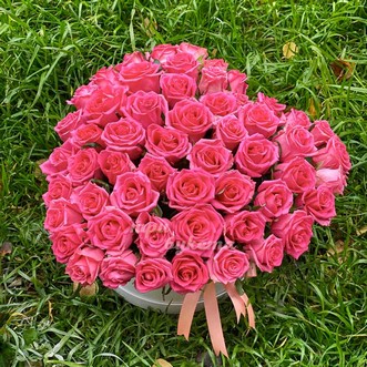 51 роза сердцем