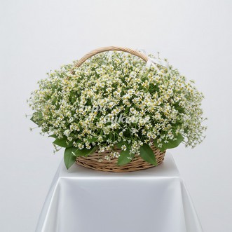 301 ромашка в корзине