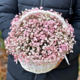 Корзина с 9 розовыми гипсофилами